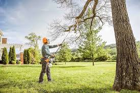 How Our Tree Care Process Works  in  Gibbstown, NJ